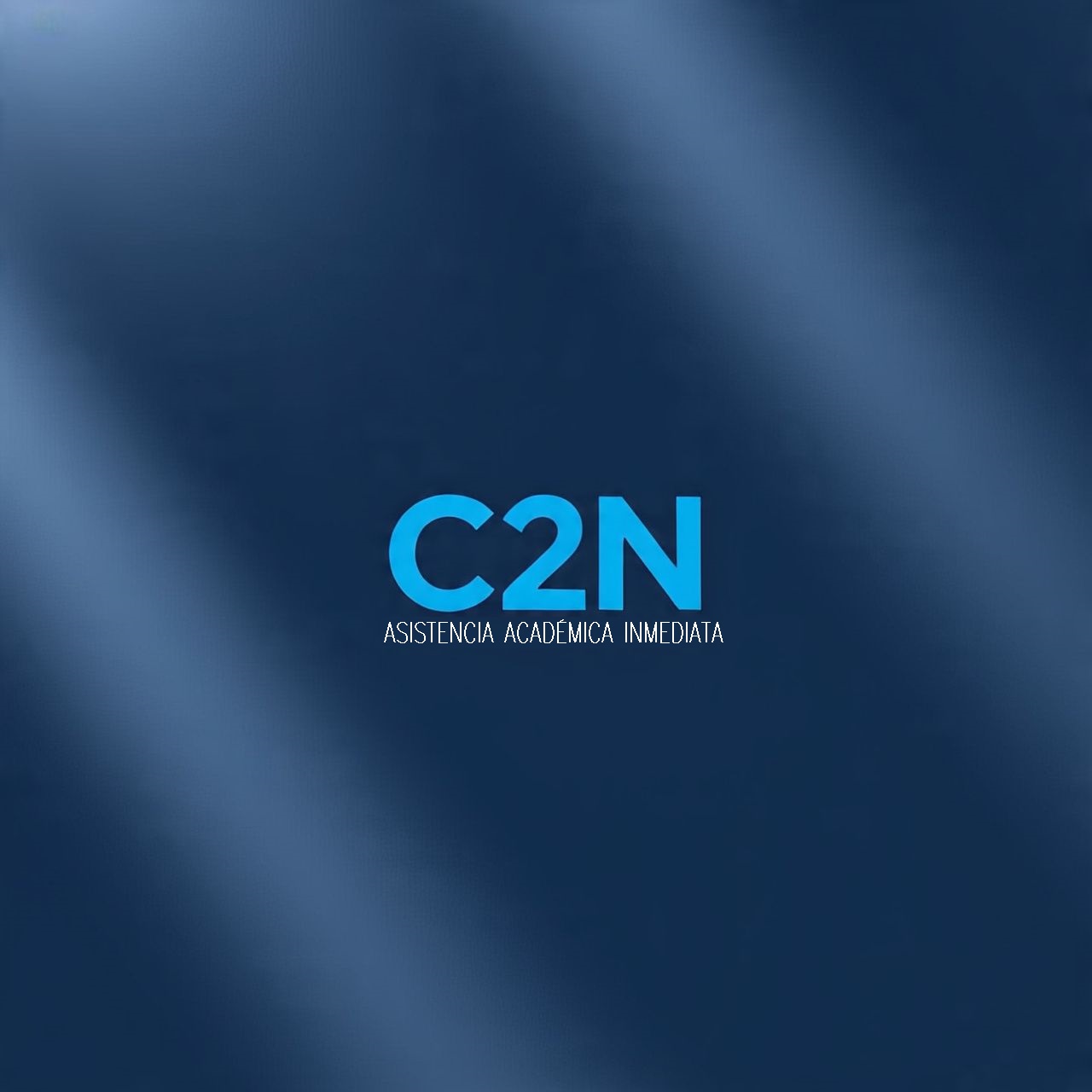 C2N Logo